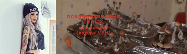 спиды Армянск
