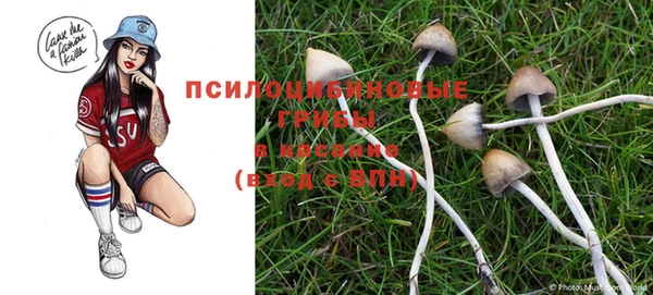 круглые Аркадак