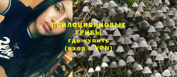 спиды Армянск