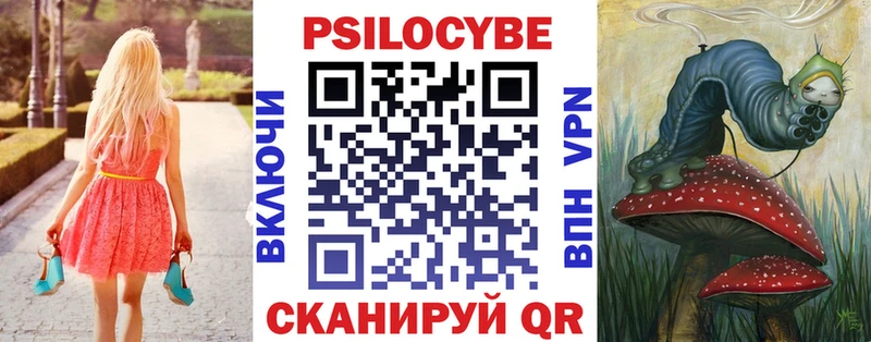 купить наркотик  Фатеж  Псилоцибиновые грибы GOLDEN TEACHER 